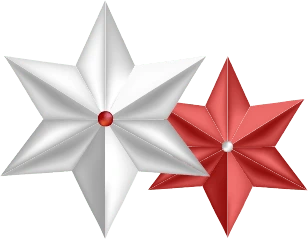 star icon