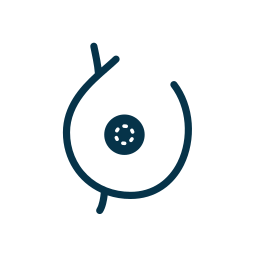 areola icon